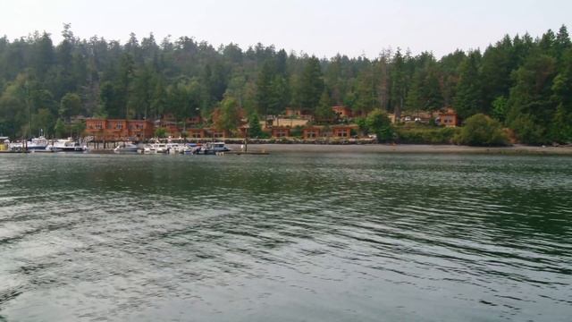 This Dog Is Trained To Sniff Out & Locate Whale Poop 🐋 The Scent Detectives | Smithsonian Channel