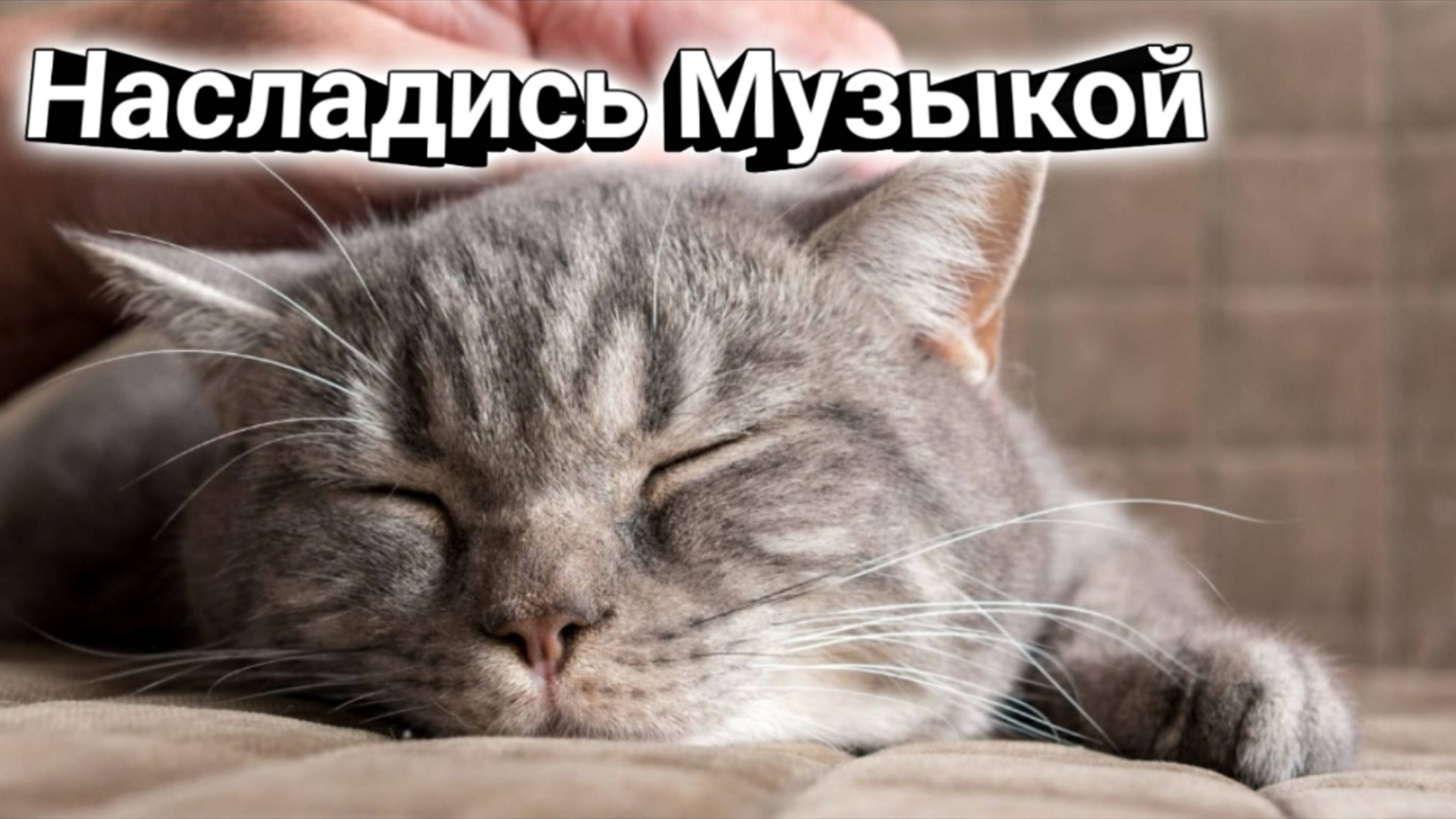 D9c0df3a3f6bc869127ac089f59b45f8