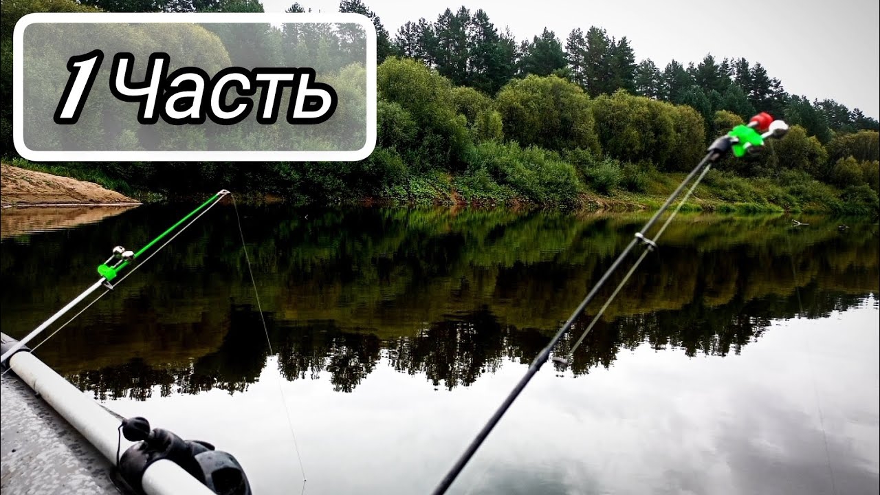 E36c5e611f8d38c4e0ad4aac04ba1c71