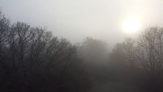 DJI Mavic Mini Crash