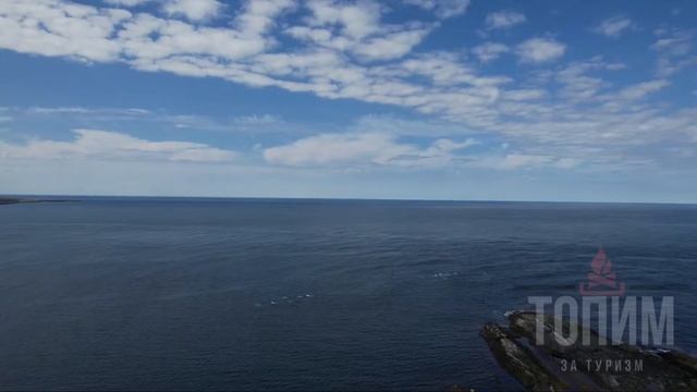 Встреча с Белухами на п-ве Рыбачьем