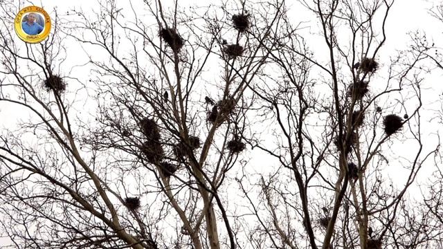 22cd3cd2abfe0b8c59632c0149e9e46f