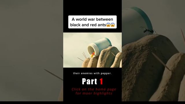 A World War Between Black And Red Ants😱😱 #movie #film #minuscule