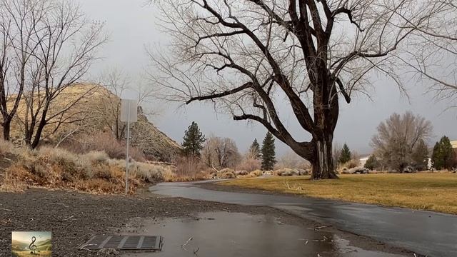 Дождь, Дождливая погода, Rain, Rainy Day