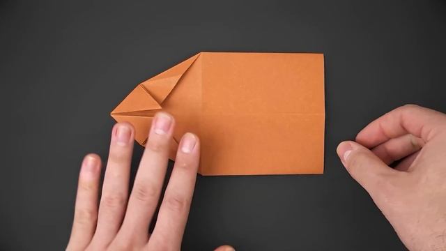 Easy Origami Capybara - How To Fold - English Voice Instructions