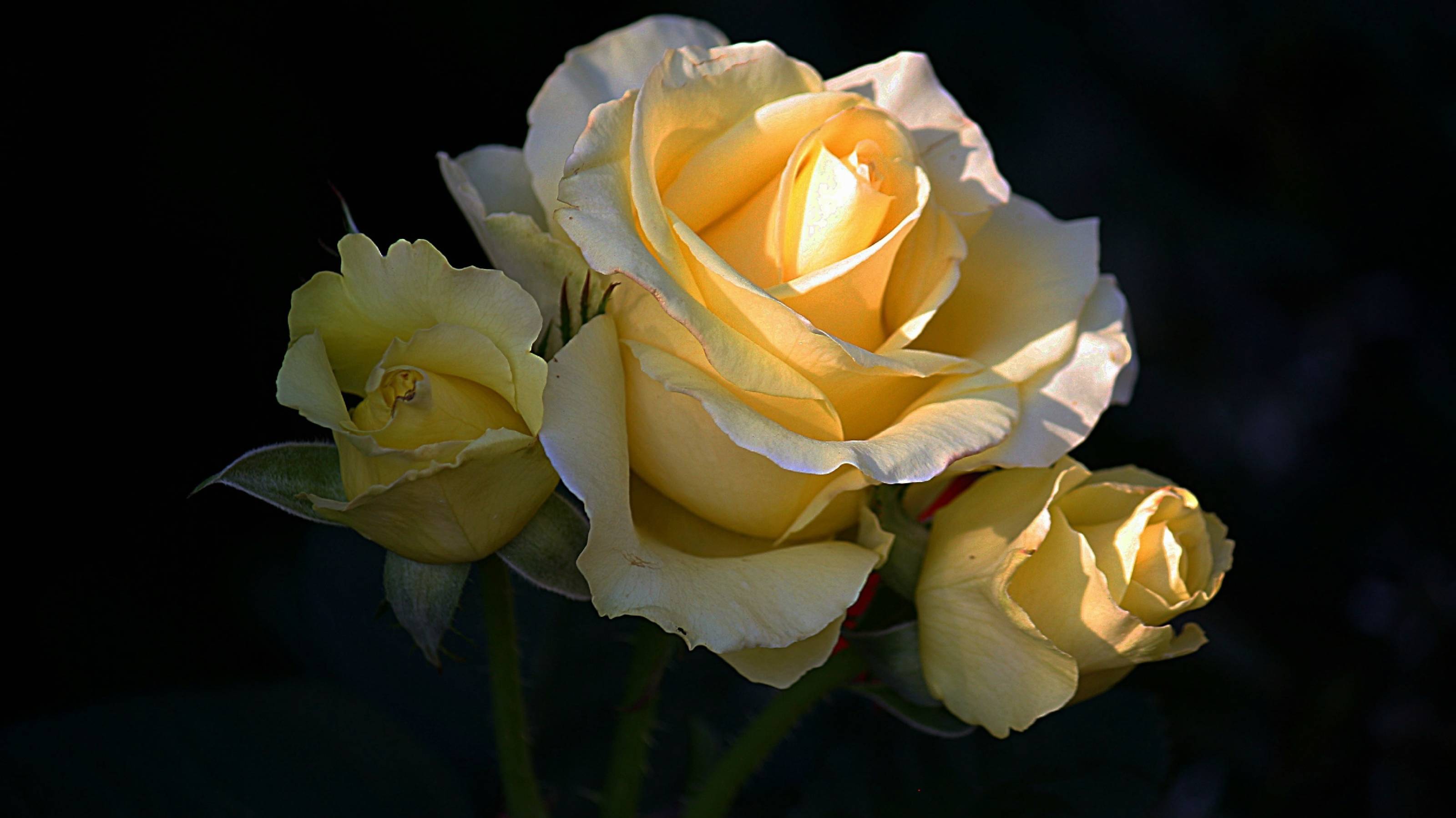 281bf3247f6644b84686f83979ac0c80