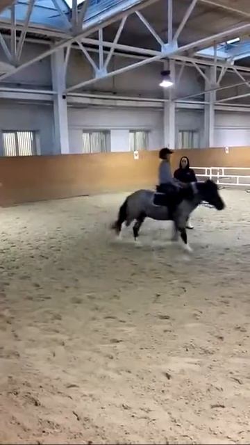 70afbe3ce85bb327abc56fb1e775a207