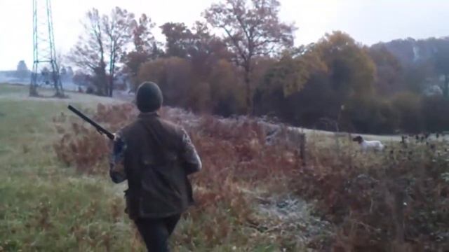 Arret Gers Faisan Sylvain