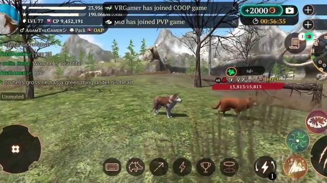 The Wolf- Sabertooth Tiger Champion 🏆