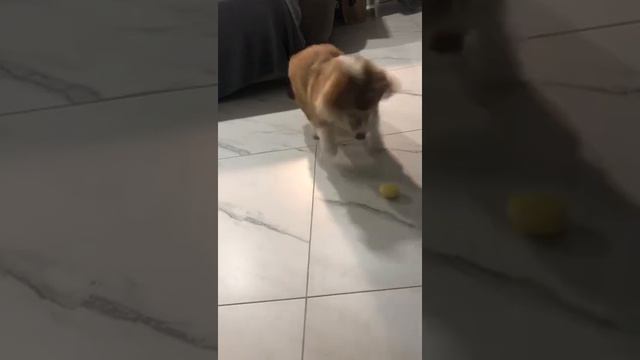 22 декабря 2021 г.