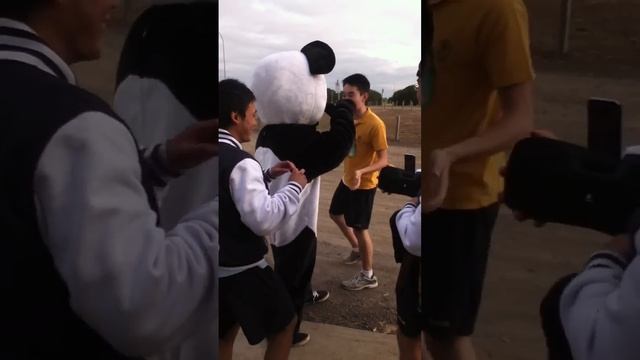 SHUFFLE PANDA