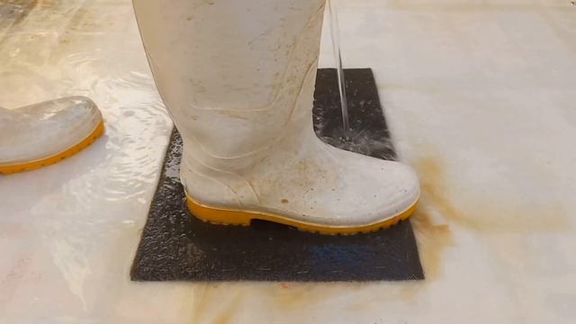 Carpet Cleaning Satisfying, Teppichreinigung, очистка ковров, 地毯清洗