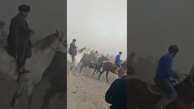 17.11.2018ж Шардарада болған көкпарда Құлшығаш Толик палуан мен Алғи Даулет палуандар салым салды.