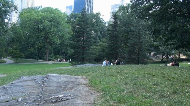 Итоги 5-го месяца #44 Первые шаги в США