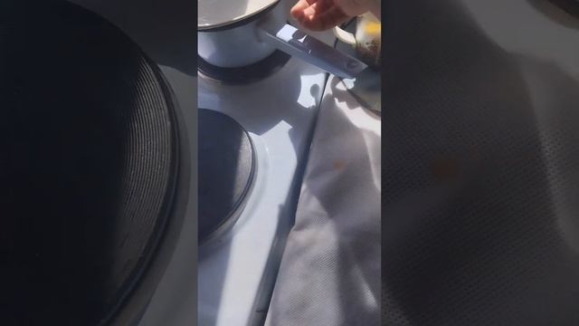 Обед моих дворянок🐕🐕❤🤩