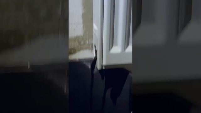 Как снять радиатор отопления_ #советпоремонту #ремонтквартир #ремонтквартирспб #радиатор