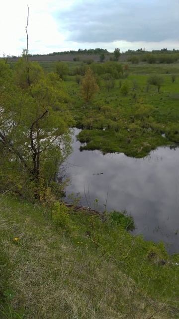 Рыбалка на Поплавочную удочку  весна  река  май 