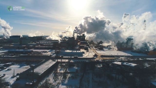 Experts Have Dissected Koko The Gorilla’s Eerie Message Made To Humanity In Her Last Years