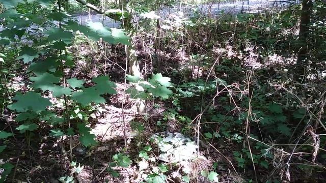 Vauxhall Corsa D Wheel Trim Find