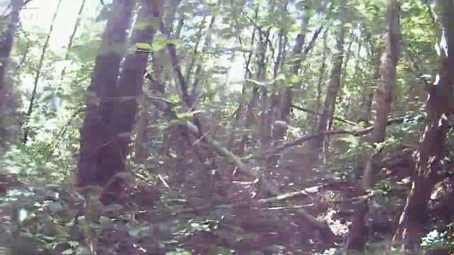 Июльская перезагрузка