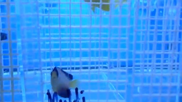 41079c8e154a2e1bf3b95d40e6be57f1