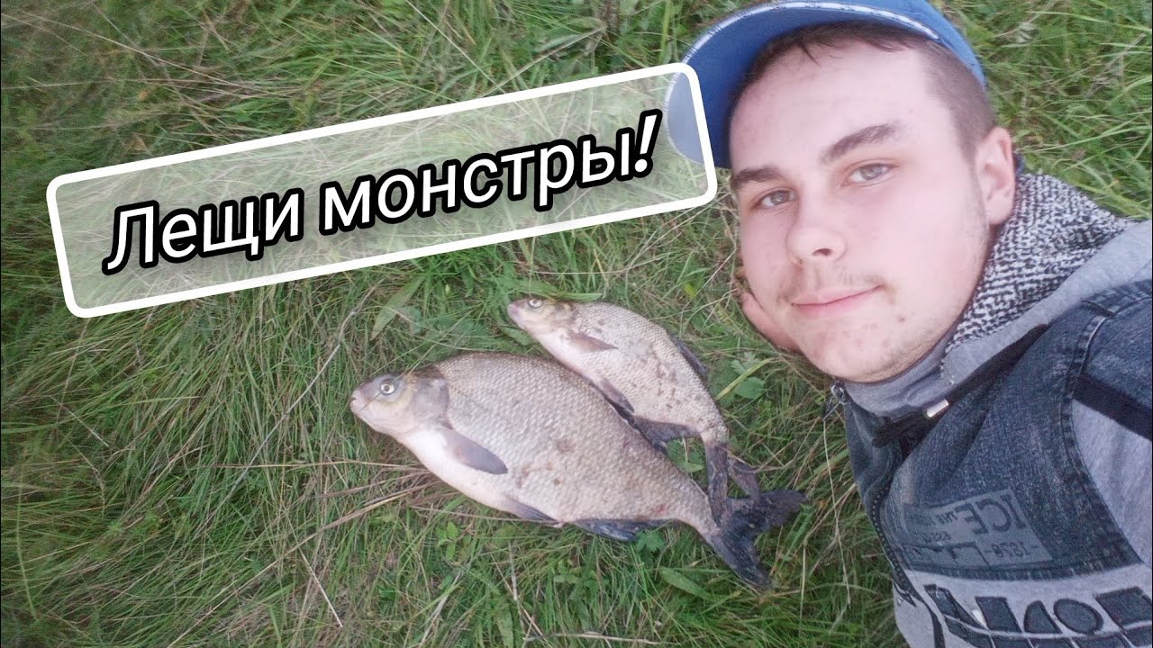 2e8598e08563c9d36d6e4b8da38b23ec