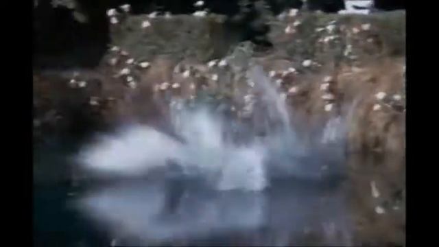 Wonder Woman: The Feminum Mystique - Part 2 (9 De 22) En Latino