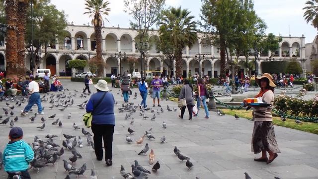 Study Abroad UCEAP Chile // Carol Garcia // Spanish And Cultural Anthropology
