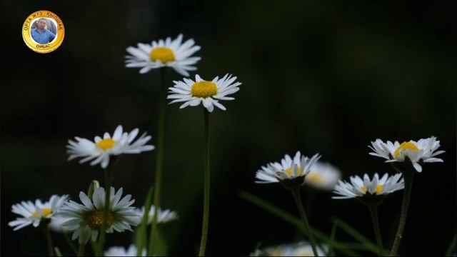 7f20a27c5f838accf6d0711b0ef2340b