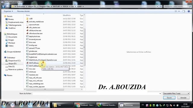 Matlab licence Fix