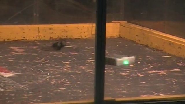 88bcdc6b657d17da350bb5854d2df335