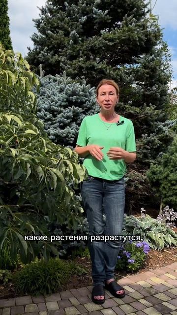 Как создать красивую композицию из растений? #сад #малоуходныйсад #всевсад #марияниконова #садовод