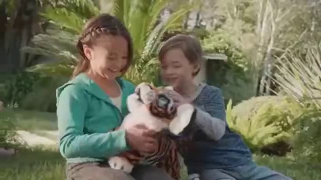 Что может интерактивный Тигренок Амурчик   FurReal Friends Hasbro