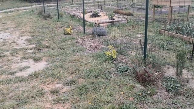 Semis Et Plantation  En Jour 