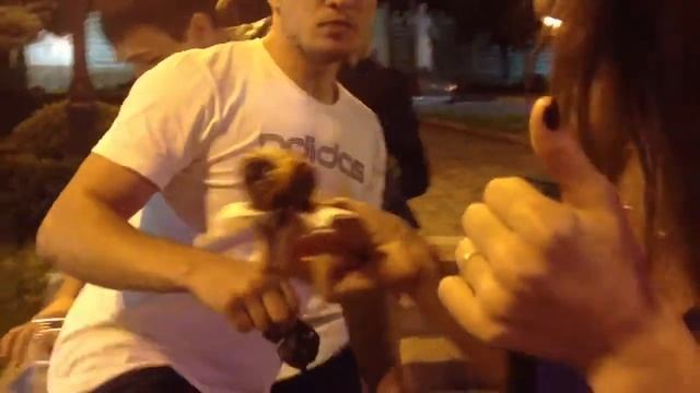 Ночные пончики!