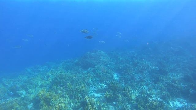 The Red Sea In Sharm El Sheikh. Egypt