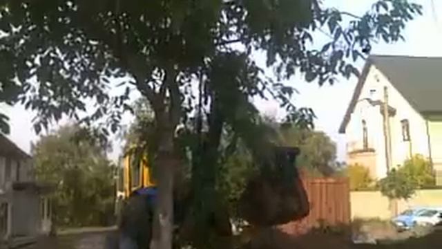 УБОРКА ГРЕЦКОГО ОРЕХА ТРАКТОРОМ (МТЗ)