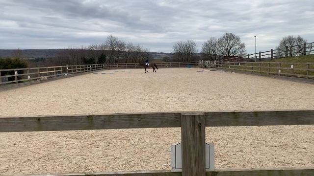 Prelim 13 Kent Winter Dressage Challenge Felicity Suttill And Illixa Astraeus Feb 2021