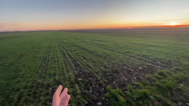 ❌Вона зійшла, результат на всі 100❗️точне землеробство це сила 💪