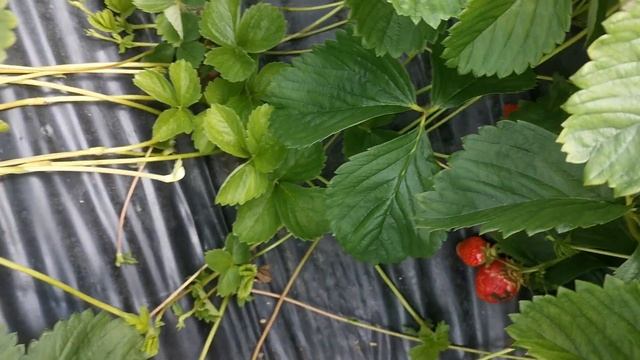 Fa7a57d422095b234dc76433e2e726b1