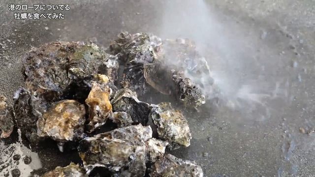 Ee7619814a5fcfe5cdfc9c69a433226f