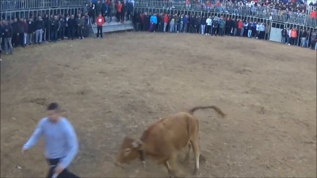 Especial Eulogio Mateo (Moncada)