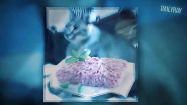 Мой братан ШЛЁПА.