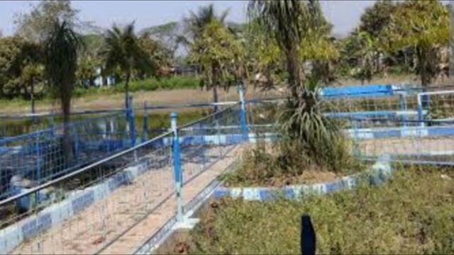 Best Couple Park | ২০ টাকায় গরীবের Oyo | Chandannagar Wander Land Park | Best Private Place | Park
