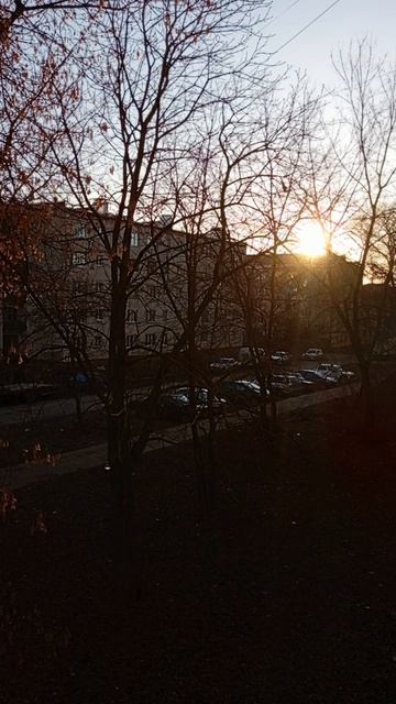 ПРОСЫПАЙТЕСЬ, МИЛЫЕ 🥰