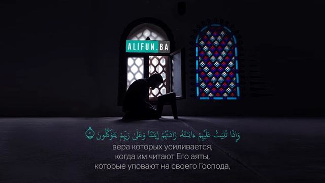 сура Ал-Анфаль (трофеи) читает Абу Хаджир аль-Ираки