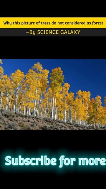Why Pando Tree Is Not Considered As Forest | #sciencegalaxy | @SCIENCEGALAXY-EDUCATION