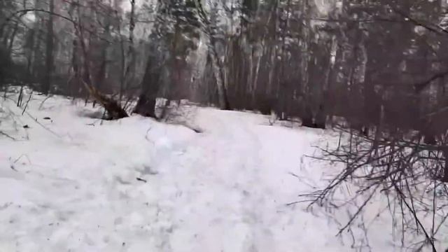 Похождения по Томскому лесу, ОПАСНЫЕ ПРИКЛЮЧЕНИЯ СОЛДАТа РОКА