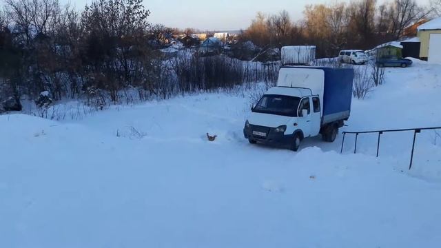 8 февраля 2017 г.