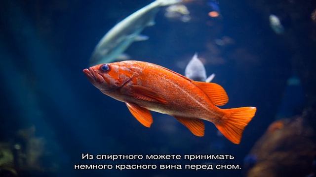 Гороскоп на 10 августа 2021 года для знака Рыбы